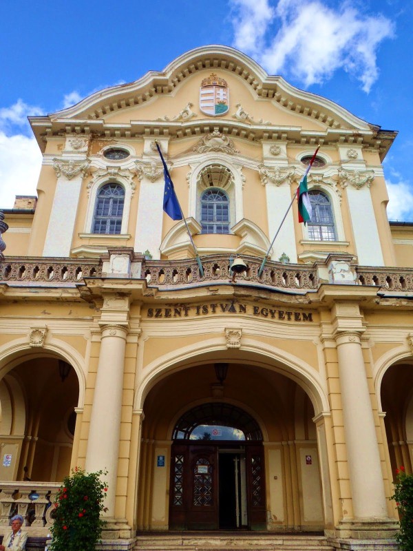 Deák Botond, Könyvelés és gazdálkodási informatika szak II. év