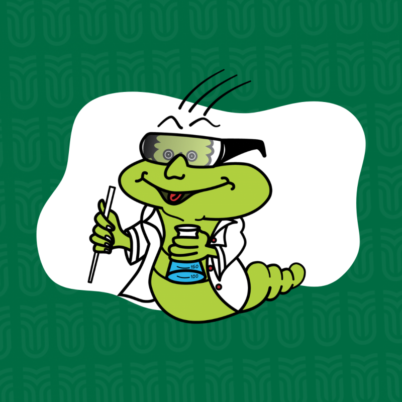 Laborkukac 2024