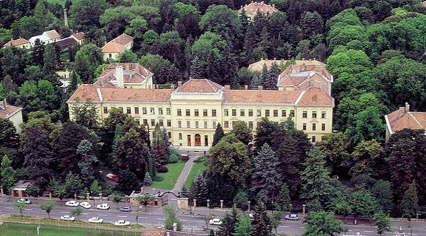 Mogyorós László - Fenntartható biotechnológiák mesteri szak, II. év
