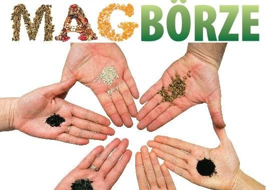 II. Csíki magbörze - a kertbarátok nagy találkozója