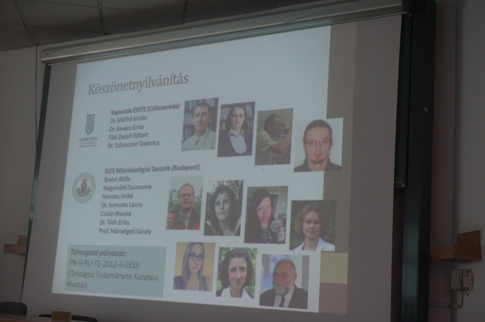 Új baktériumfajok kitenyésztését eredményező kutatási projekt ismertetése a Sapientián