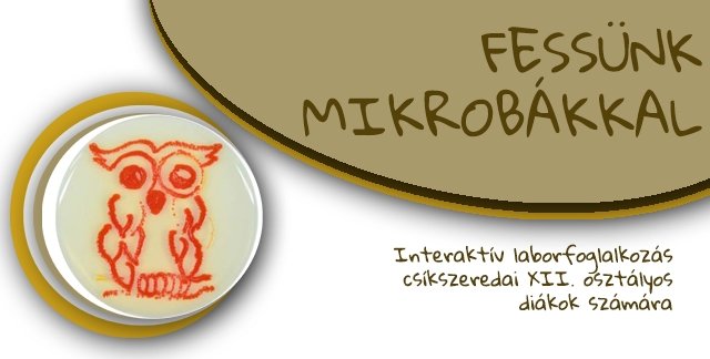 Fessünk mikrobákkal! - laborgyakorlat középiskolásoknak