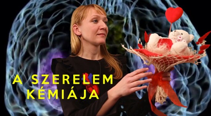 Sapiophile: A szerelem kémiája