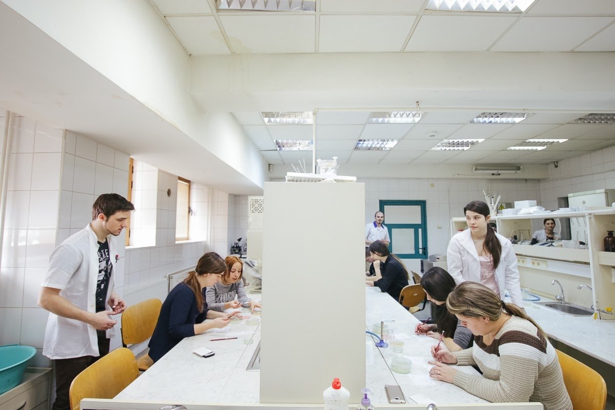 II. Fessünk mikrobákkal! - beszámoló a laboraktivitásról