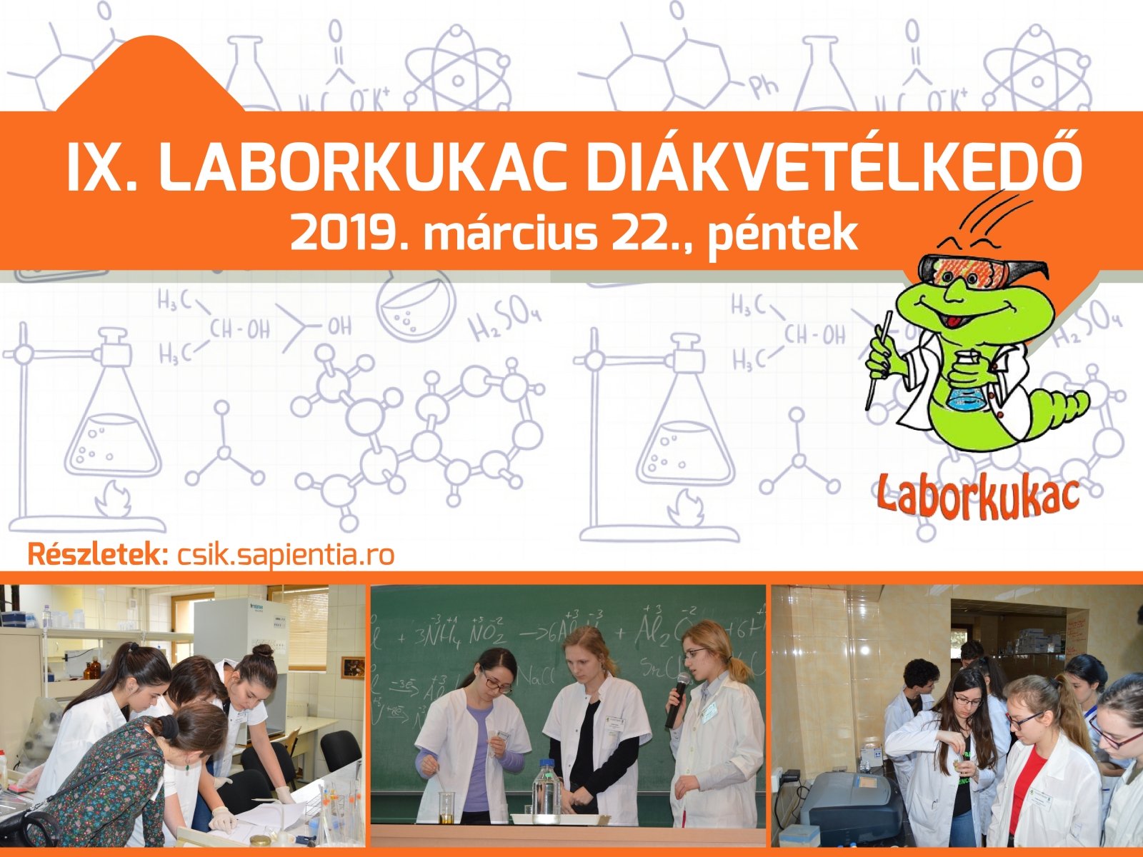 IX. Laborkukac vetélkedő I. fordulójának eredményei