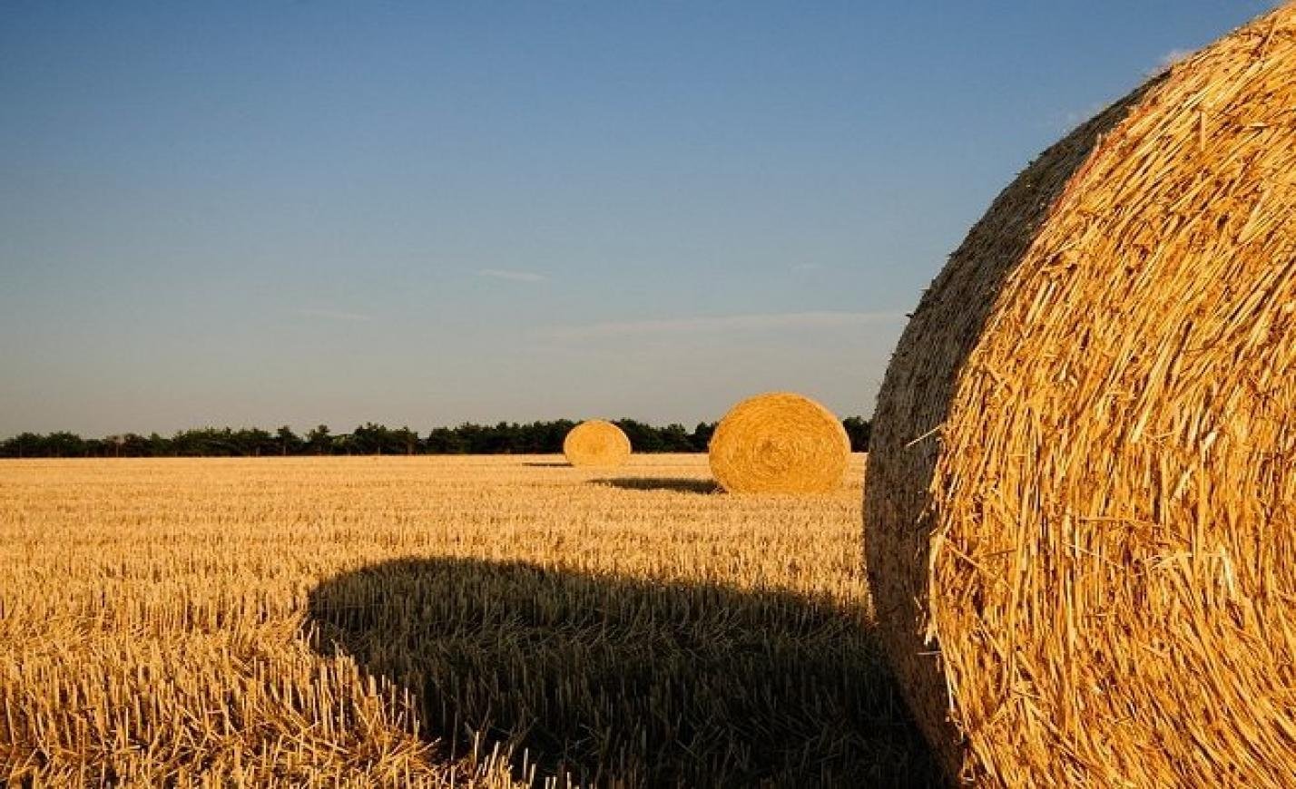 Tudásalapú, precíziós gazdálkodás a hegyvidéki agráriumban