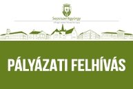 Sepsiszentgyörgy Helyi Tanácsa pályázatot hirdet