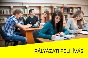 Pályázati felhívás gazdasági szakos hallgatók számára