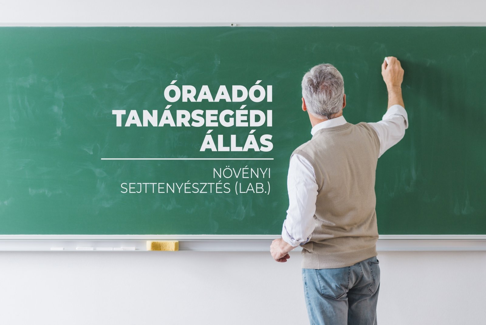 Óraadói tanársegédi állás | Növényi sejttenyésztés (lab.)