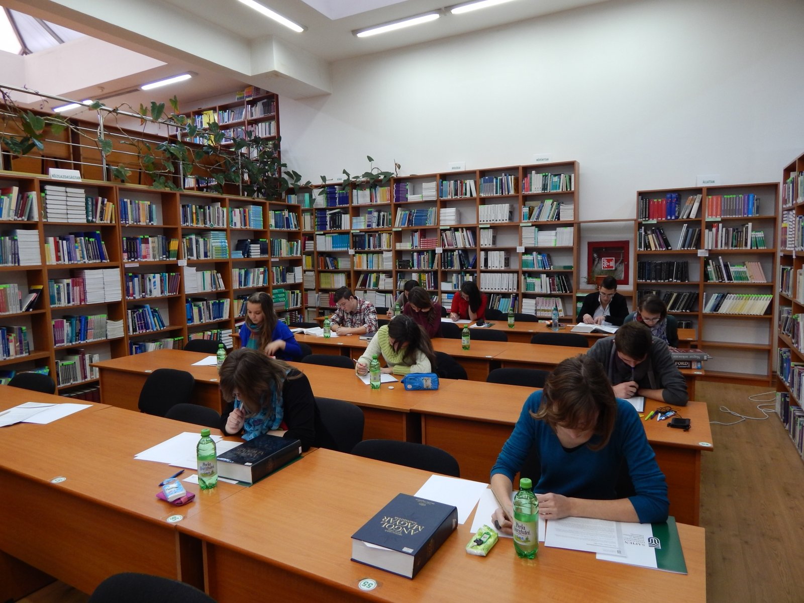 „Gúzsba kötve táncolni” VI. fordítói verseny középiskolásoknak